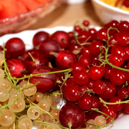 מלון The Avalon - Altstadt 2*