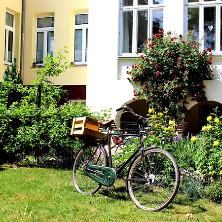 The Avalon - Altstadt מלון 2*