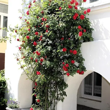 Hotel The Avalon - Altstadt 3*