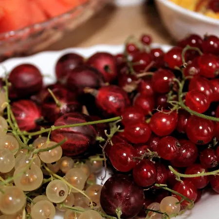 Hotel The Avalon - Altstadt 2*