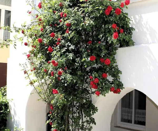 Hotel The Avalon - Altstadt 3*